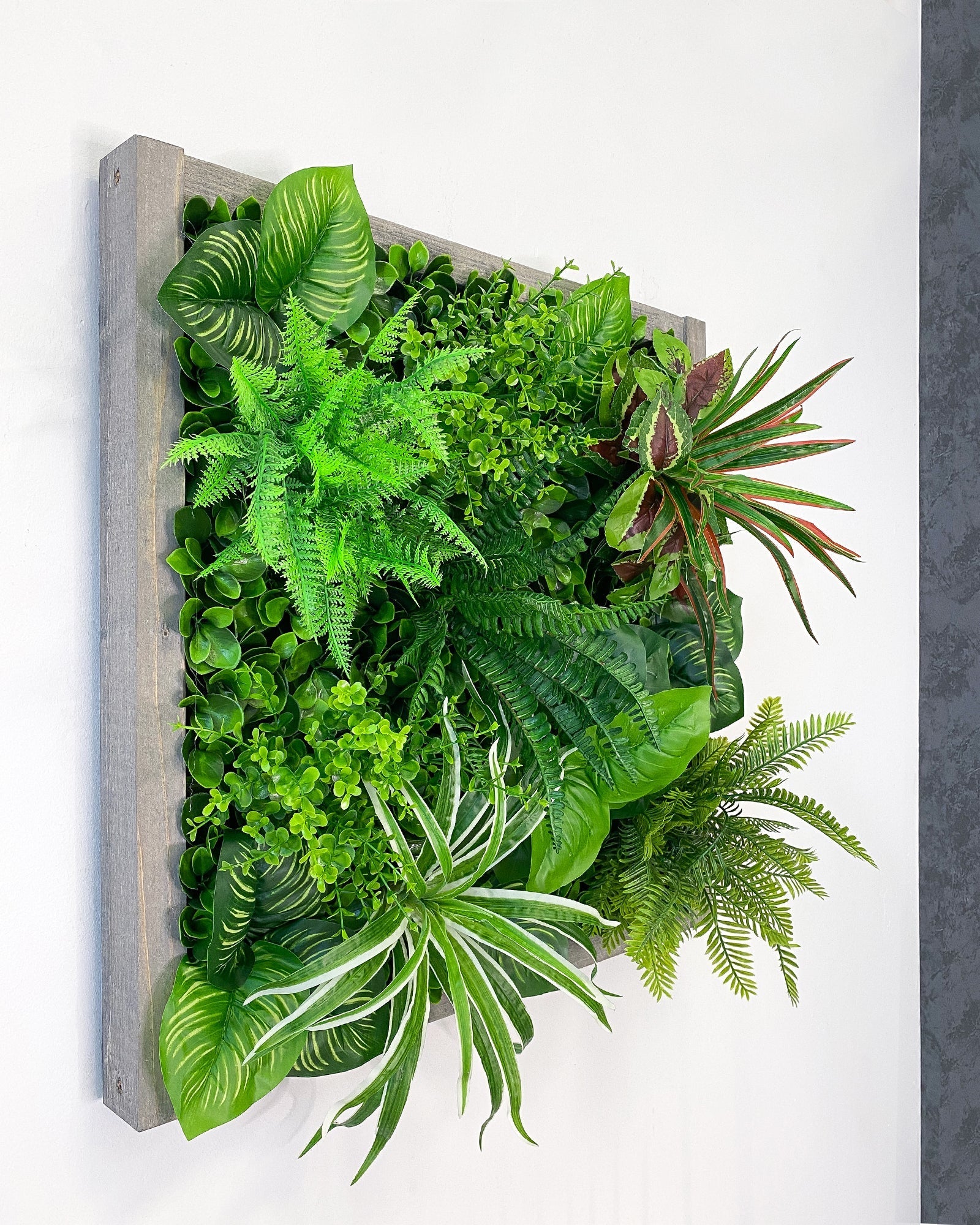 Plantframe/Pflanzenwand/Mooswand "YUCATAN" aus Realtouch Kunstpflanzen in Fichtenholzrahmen