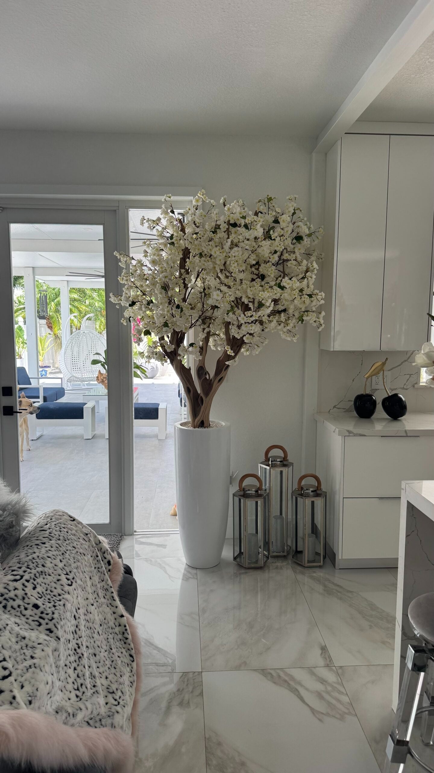 Weiße Kirschblüte in einer hohen weißen Vase