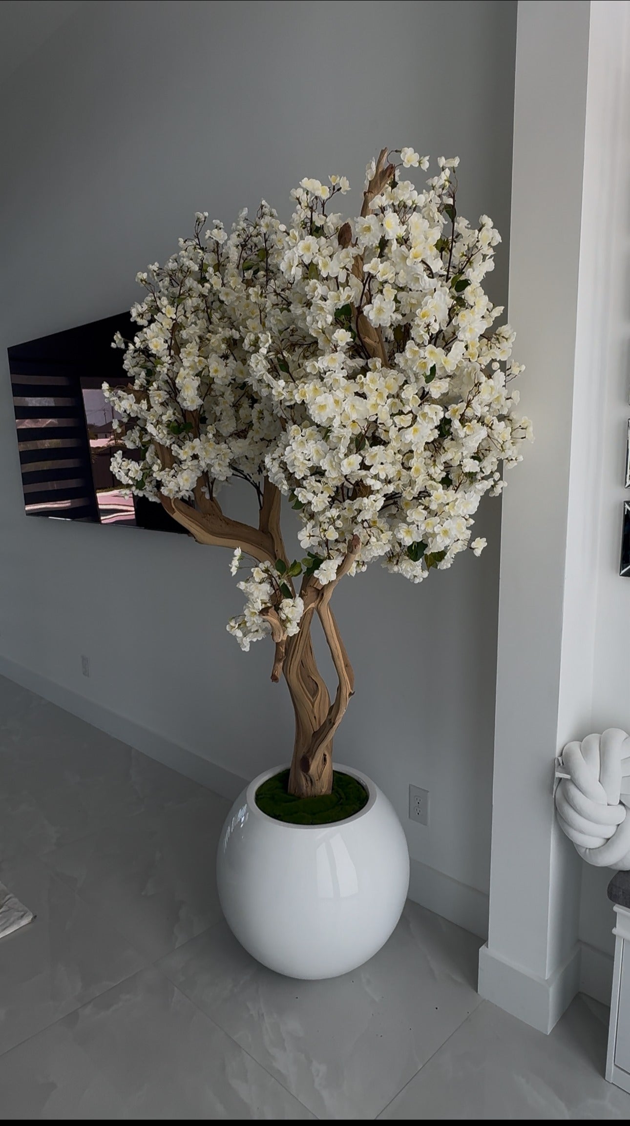 Weißer Kirschblütenbaum in einer weißen runden Vase