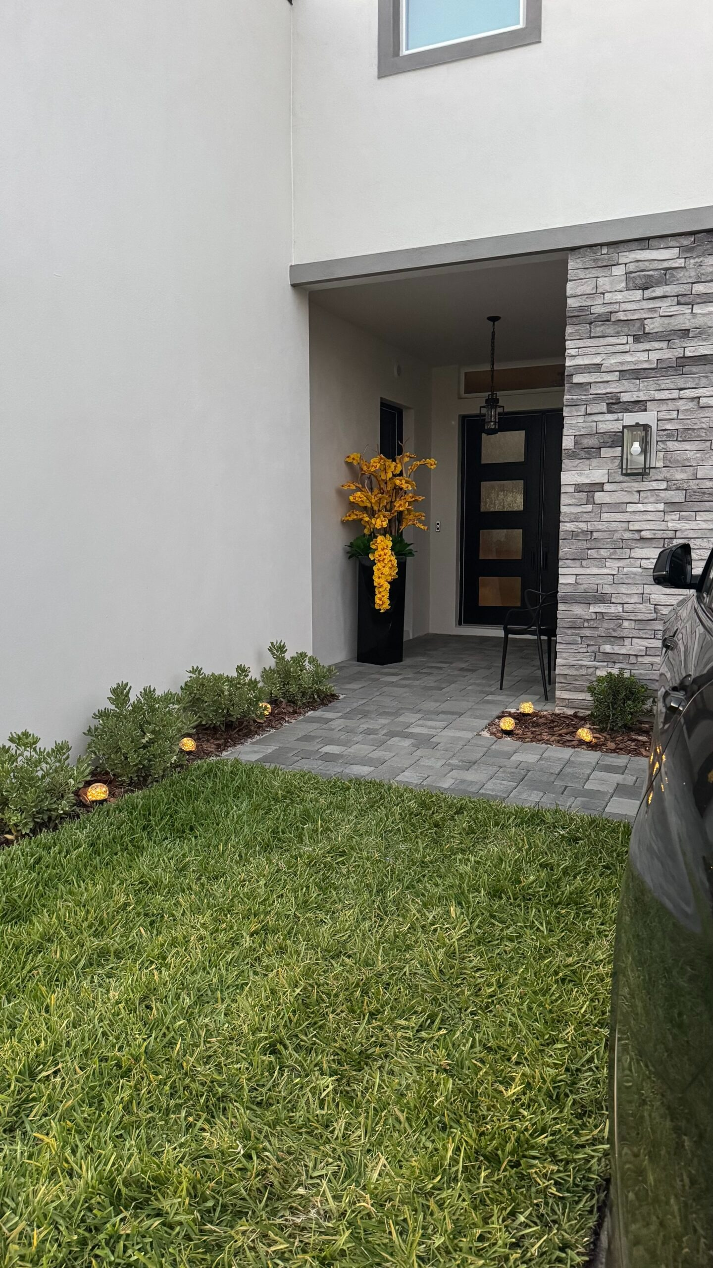 Kaskadierende gelbe Orchideen in einer schwarzen Vase