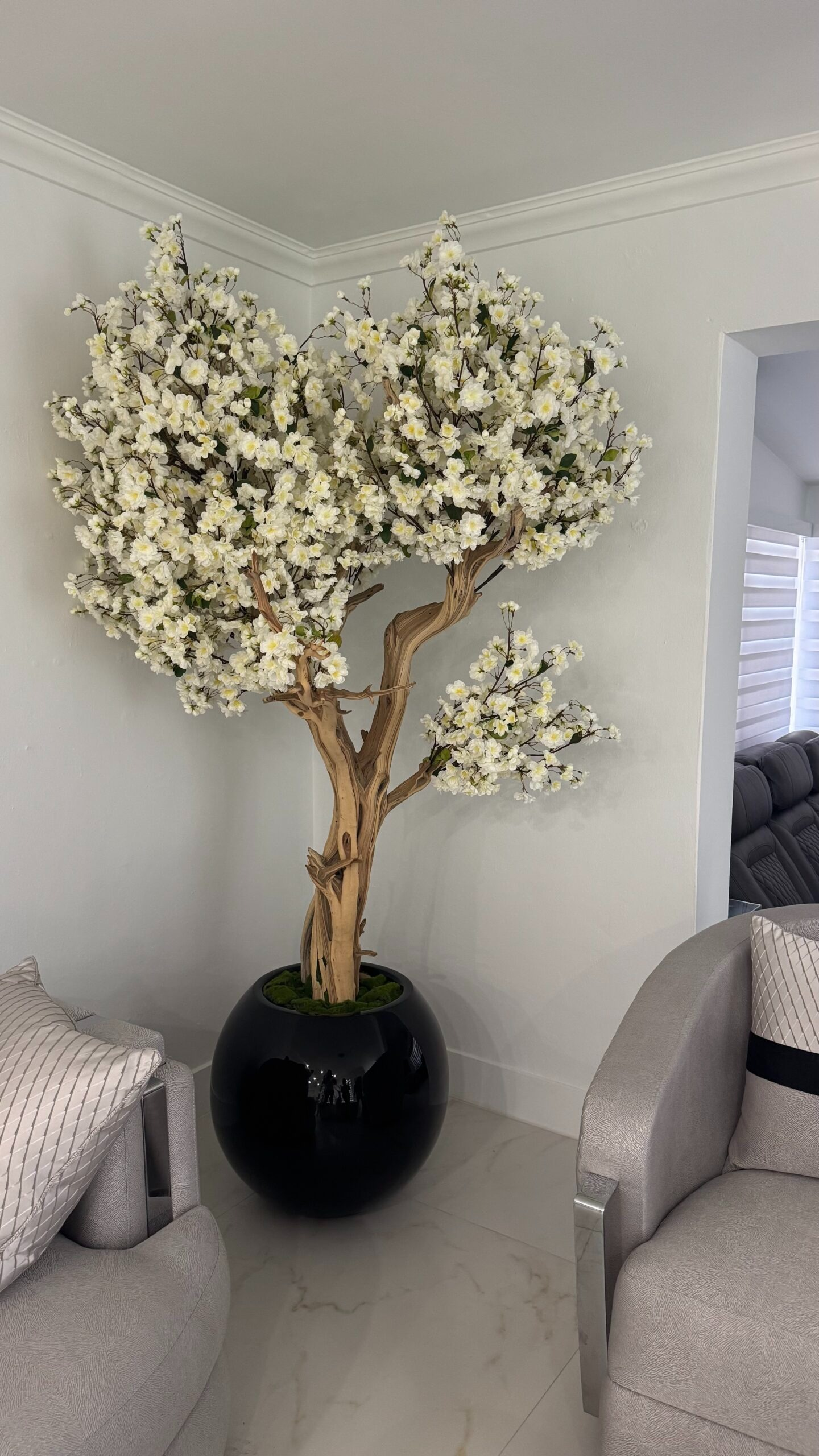 Weißer Kirschblütenbaum in einer schwarzen runden Vase