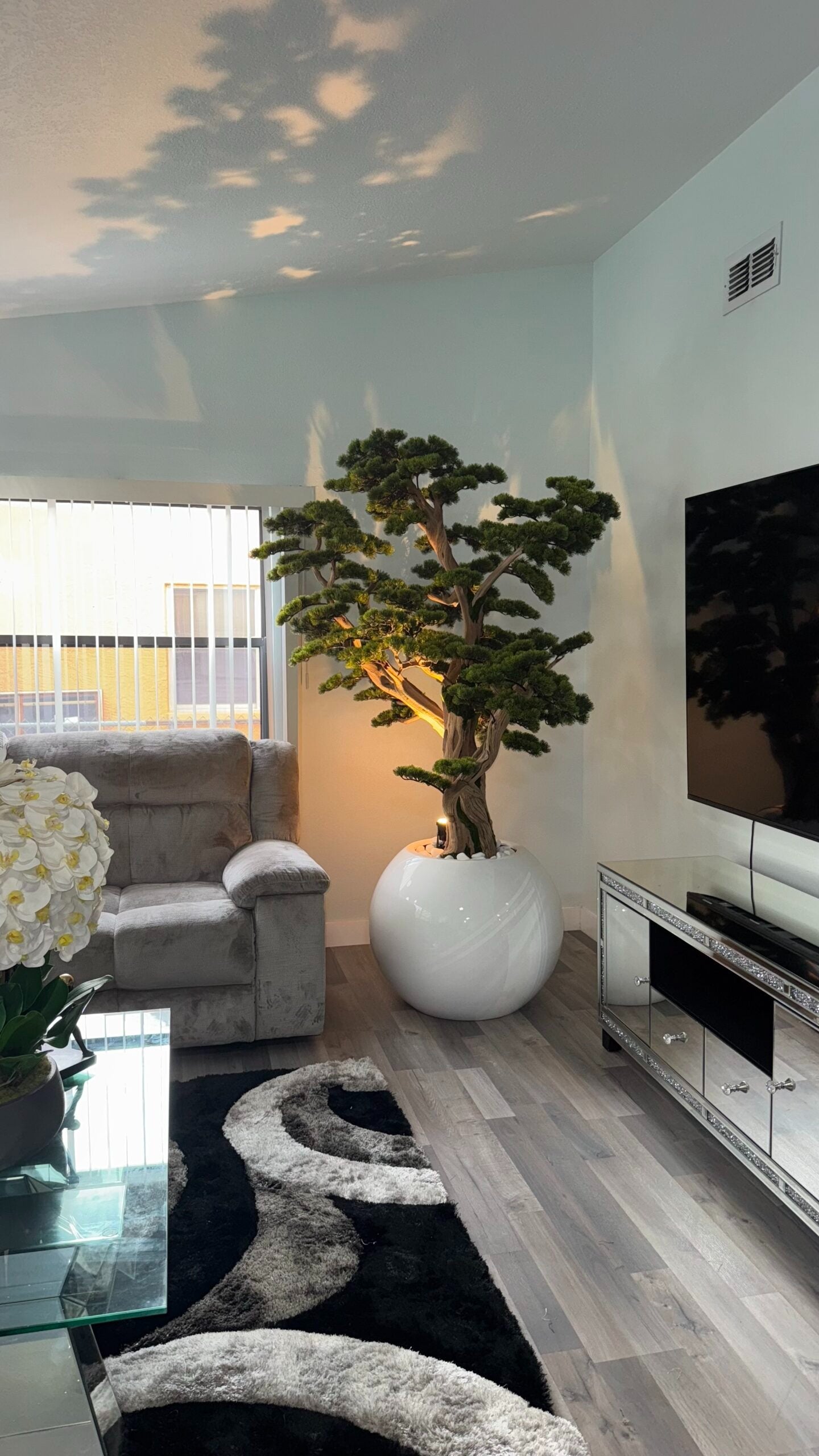 Bonsai „2,4 m“ in einem runden weißen Pflanzgefäß