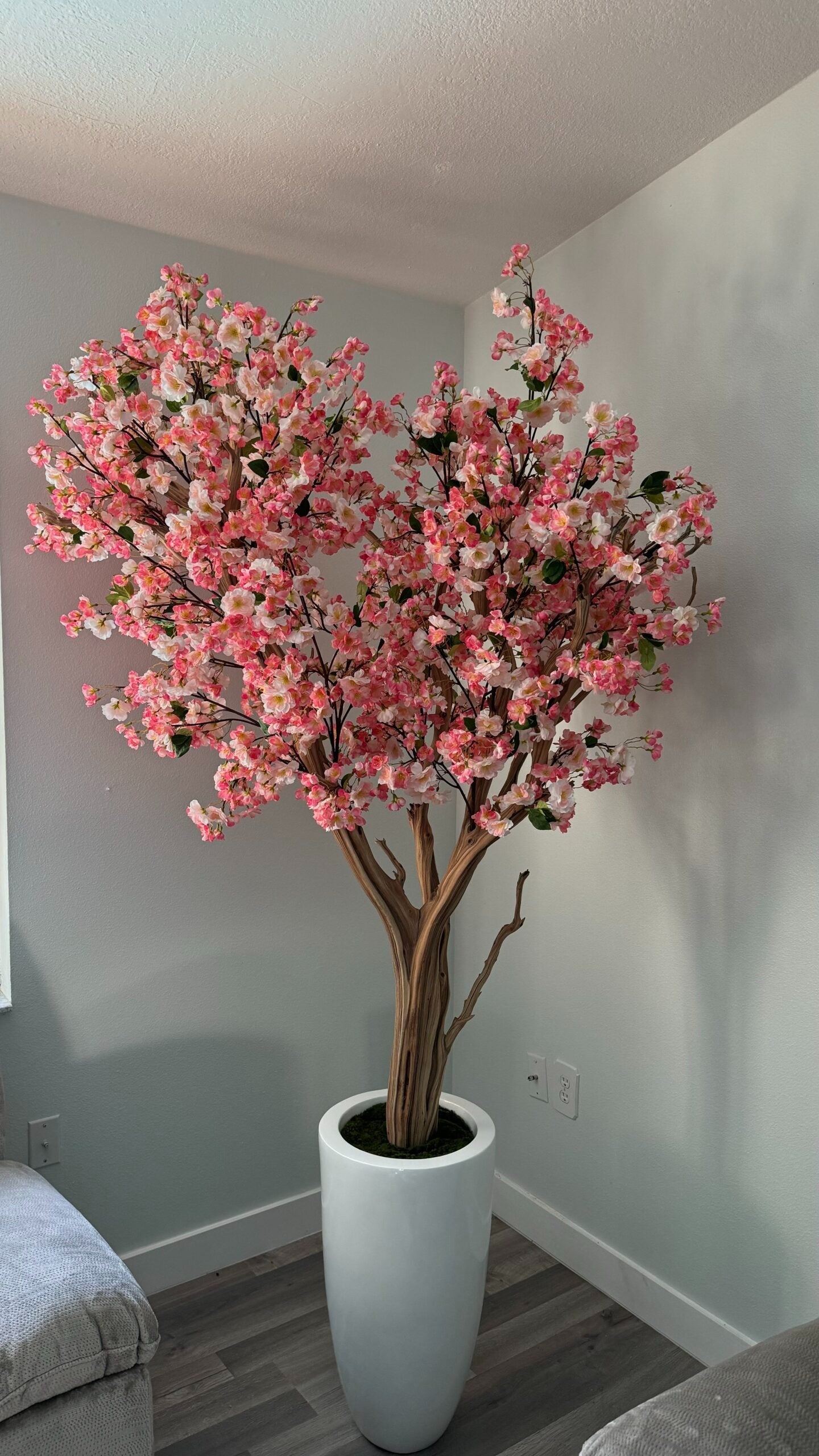 Rosa Kirschblüte in einer weißen Vase