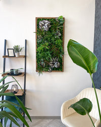 Plantframe/Pflanzenwand/Mooswand "SORNA" aus Realtouch Kunstpflanzen in Fichtenholzrahmen - 80 cm x 40 cm / sienabraun