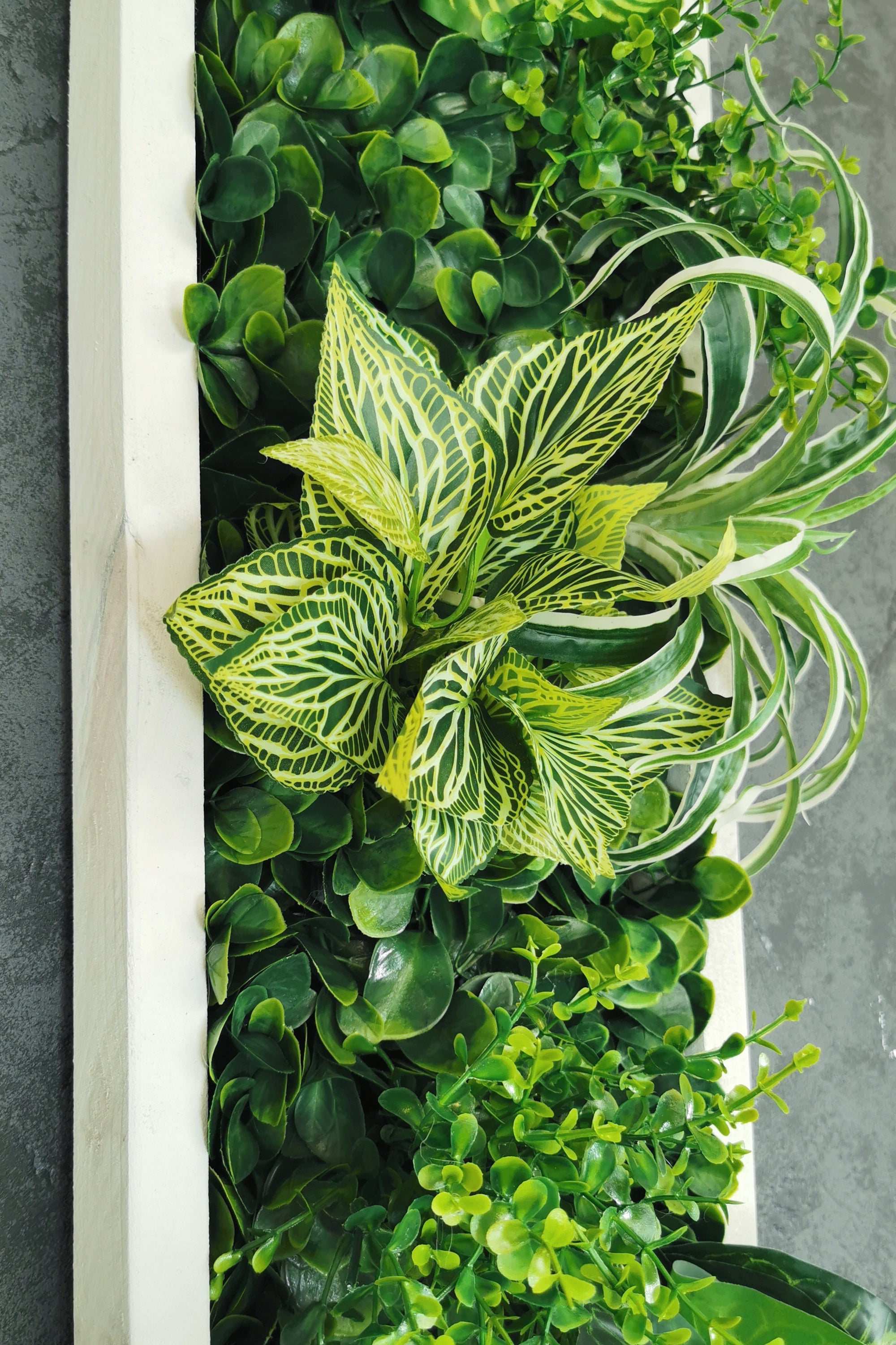 Plantframe/Pflanzenbild/Mooswand "SAMANA" aus Realtouch Kunstpflanzen im Dschungel Design in Fichtenholzrahmen