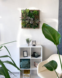 Plantframe/Pflanzenwand/Mooswand "SORNA" aus Realtouch Kunstpflanzen in Fichtenholzrahmen - 56 cm x 56 cm / sienabraun