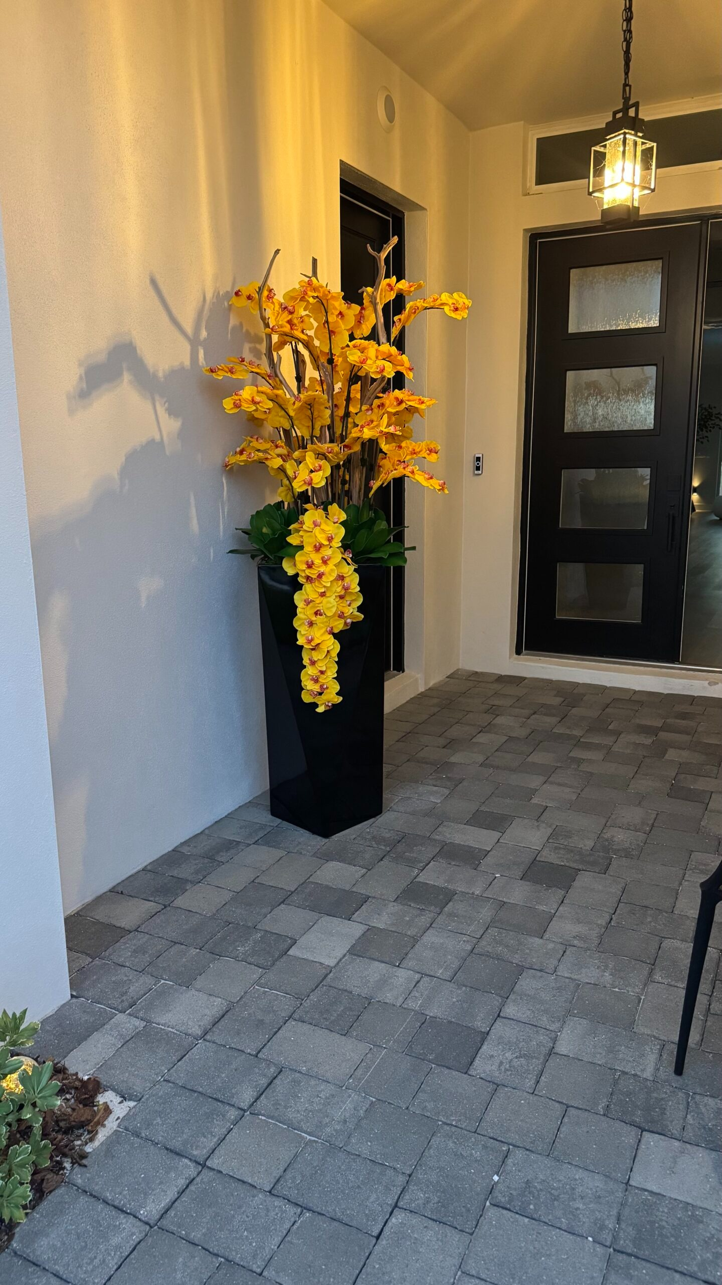 Kaskadierende gelbe Orchideen in einer schwarzen Vase