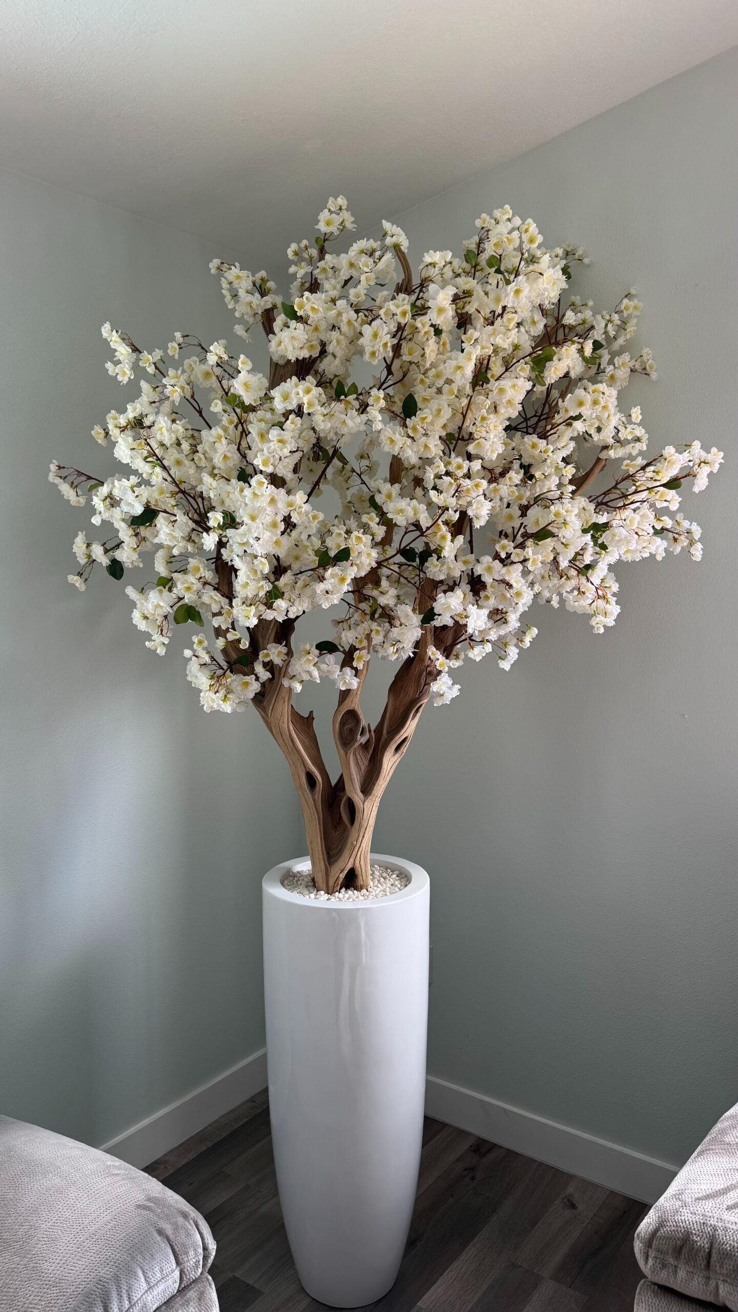 Weiße Kirschblüte in einer hohen weißen Vase