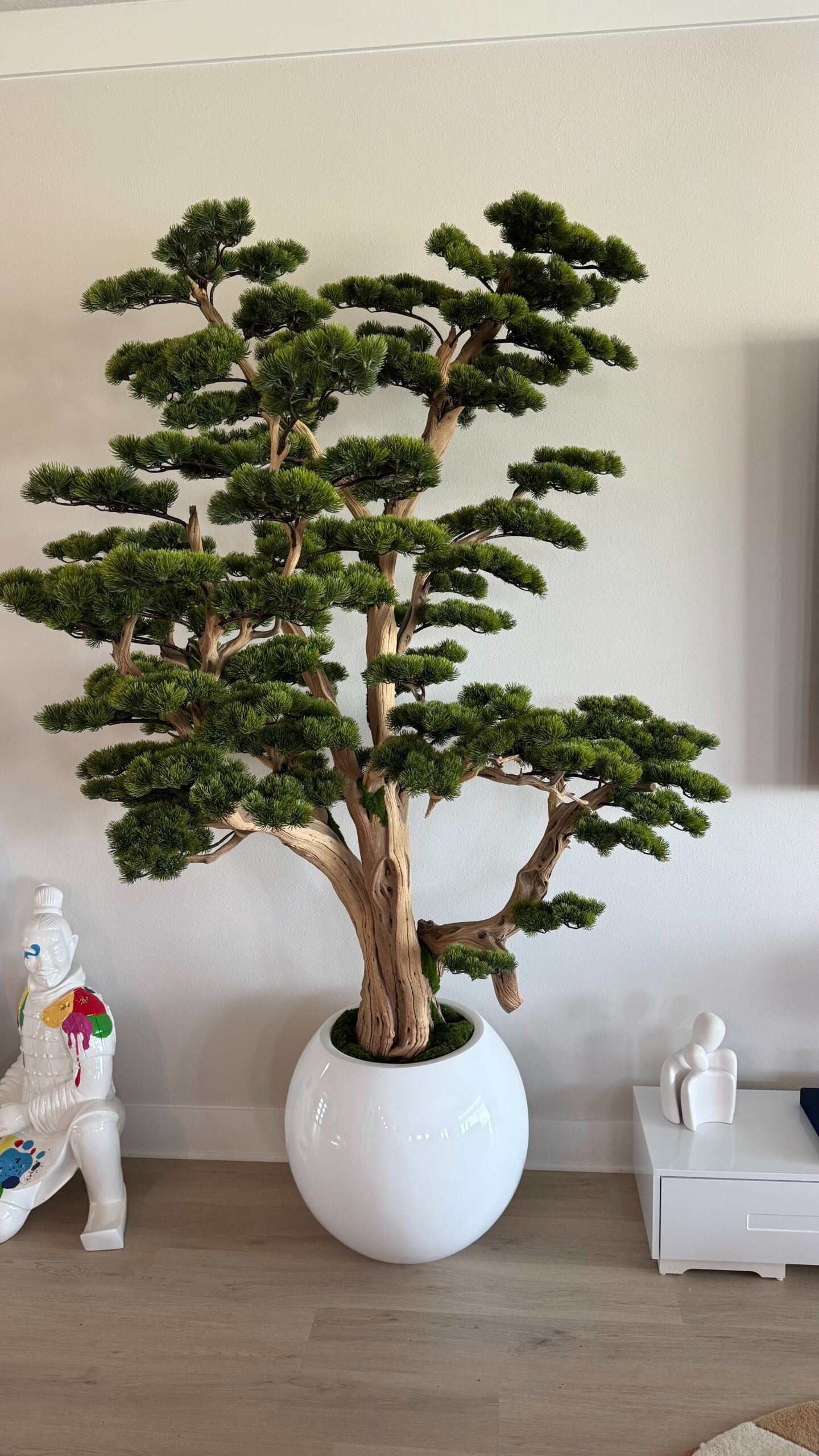 Bonsai in einer runden weißen Vase